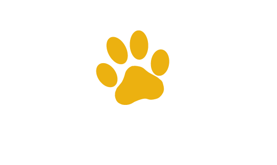 About | Frolic Pet Services